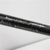 自作ロッドＡＫ９８９０